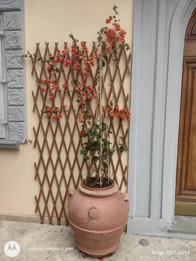 Bercos Deluxe Apartamento Prato  Exterior foto