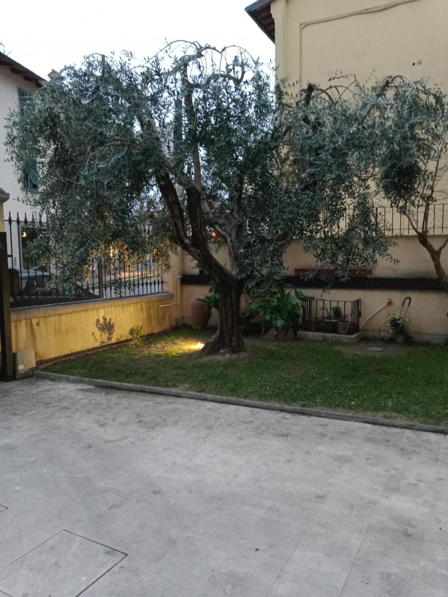 Bercos Deluxe Apartamento Prato  Exterior foto